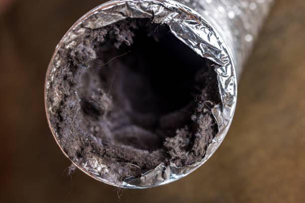 Best HVAC Air Duct Cleaning  in Chicago, IL